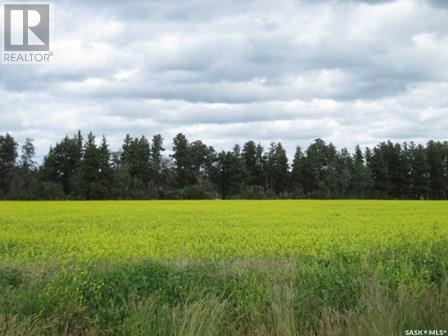 Lot 13 Parcel 3.53 Acres, Nipawin Rm No. 487, Saskatchewan  S0E 1E0 - Photo 2 - SK992716