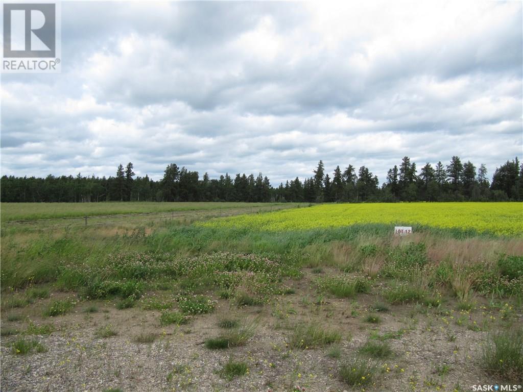 Lot 13 Parcel 3.53 Acres, Nipawin Rm No. 487, Saskatchewan  S0E 1E0 - Photo 4 - SK992716