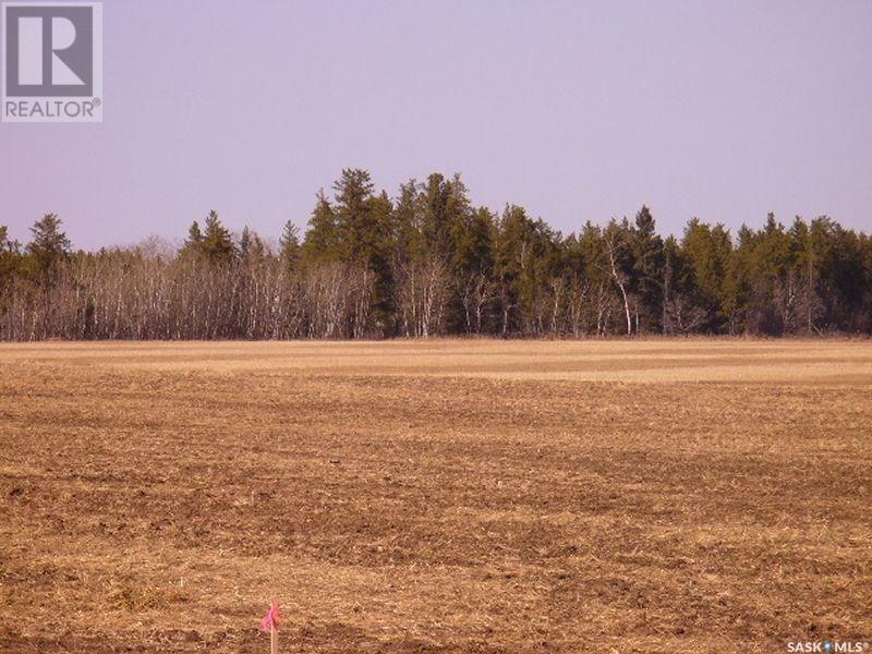 Lot 13 Parcel 3.53 Acres, Nipawin Rm No. 487, Saskatchewan  S0E 1E0 - Photo 5 - SK992716