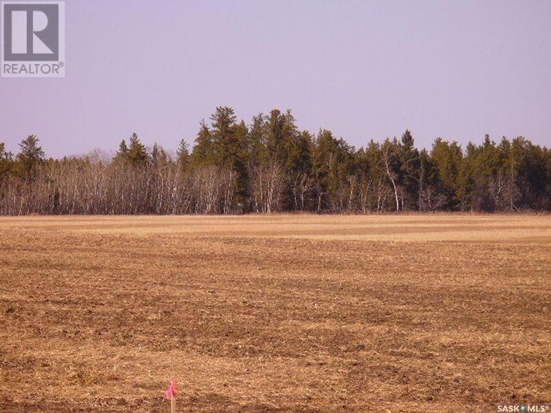 Lot 11 Parcel 3.41 Acres, Nipawin Rm No. 487, Saskatchewan  S0E 1E0 - Photo 5 - SK992713