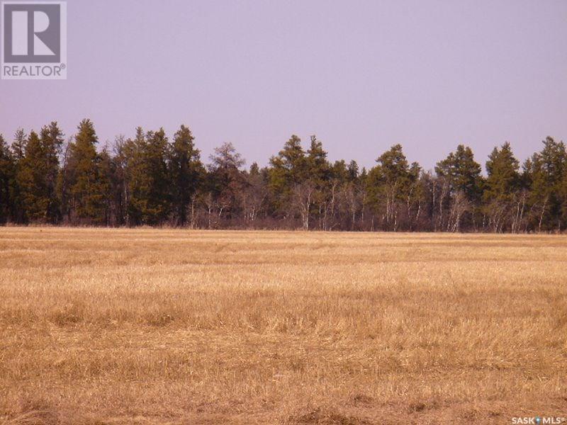 Lot 11 Parcel 3.41 Acres, Nipawin Rm No. 487, Saskatchewan  S0E 1E0 - Photo 6 - SK992713