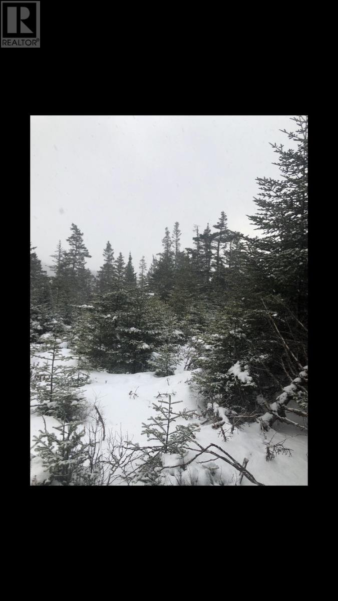 181-535 Fox Harbour Road, Placentia, Newfoundland & Labrador  A0B 1S0 - Photo 11 - 1280811