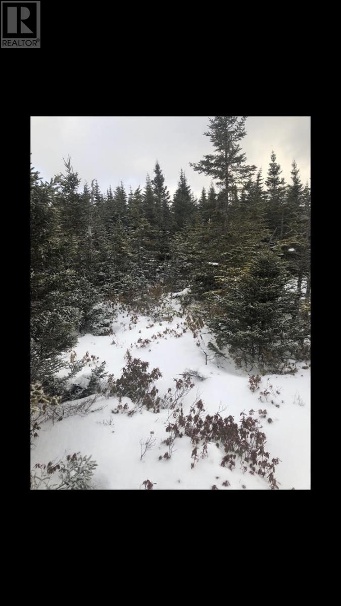 181-535 Fox Harbour Road, Placentia, Newfoundland & Labrador  A0B 1S0 - Photo 12 - 1280811
