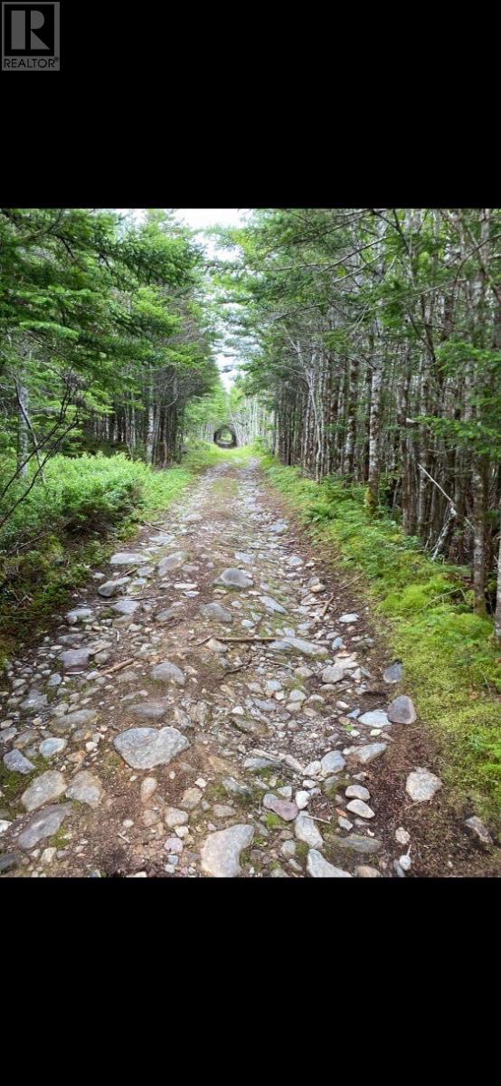 181-535 Fox Harbour Road, Placentia, Newfoundland & Labrador  A0B 1S0 - Photo 4 - 1280811