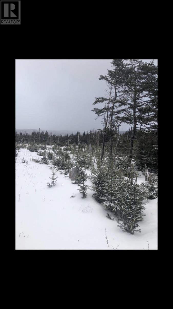 181-535 Fox Harbour Road, Placentia, Newfoundland & Labrador  A0B 1S0 - Photo 6 - 1280811