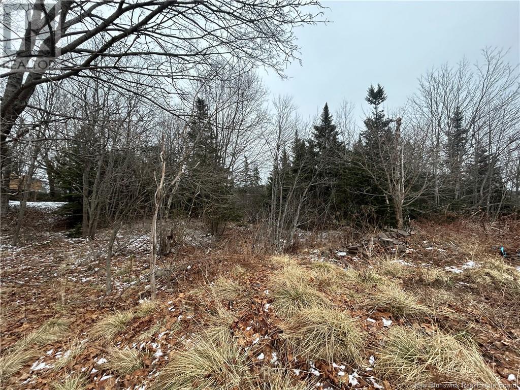 Property at Wiljac Street image 1