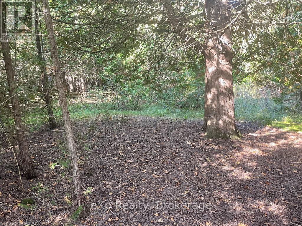 Lot 25 Concession Road 10, West Grey, Ontario  N0G 1S0 - Photo 10 - X11823142