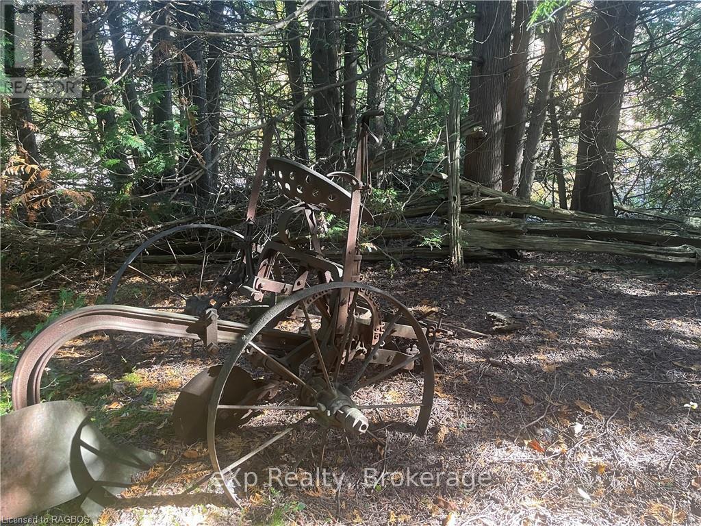 Lot 25 Concession Road 10, West Grey, Ontario  N0G 1S0 - Photo 12 - X11823142