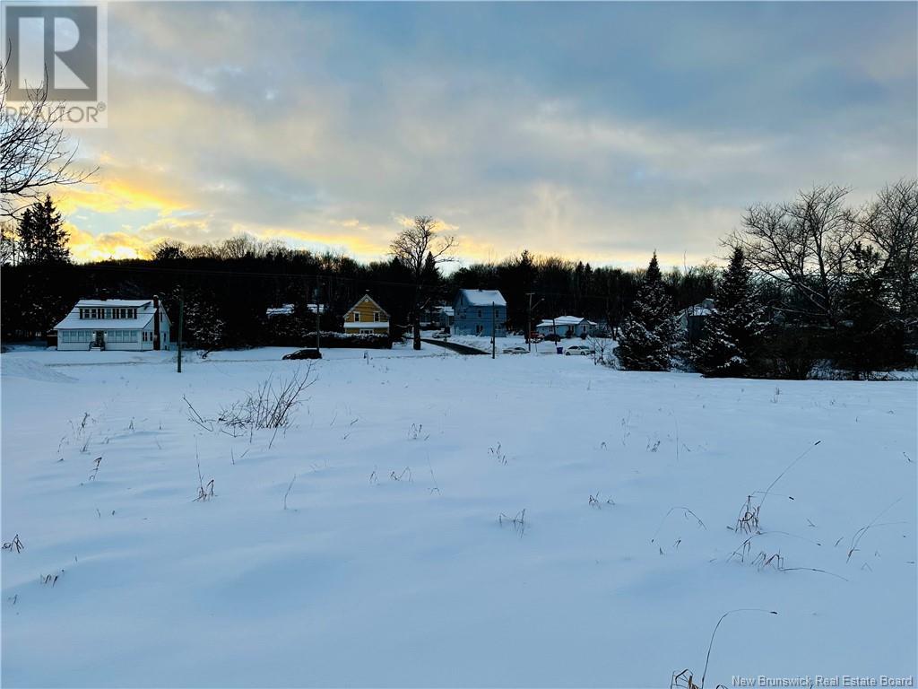 170 And 174 Houlton Street, Woodstock, New Brunswick  E7M 1Z1 - Photo 32 - NB090049