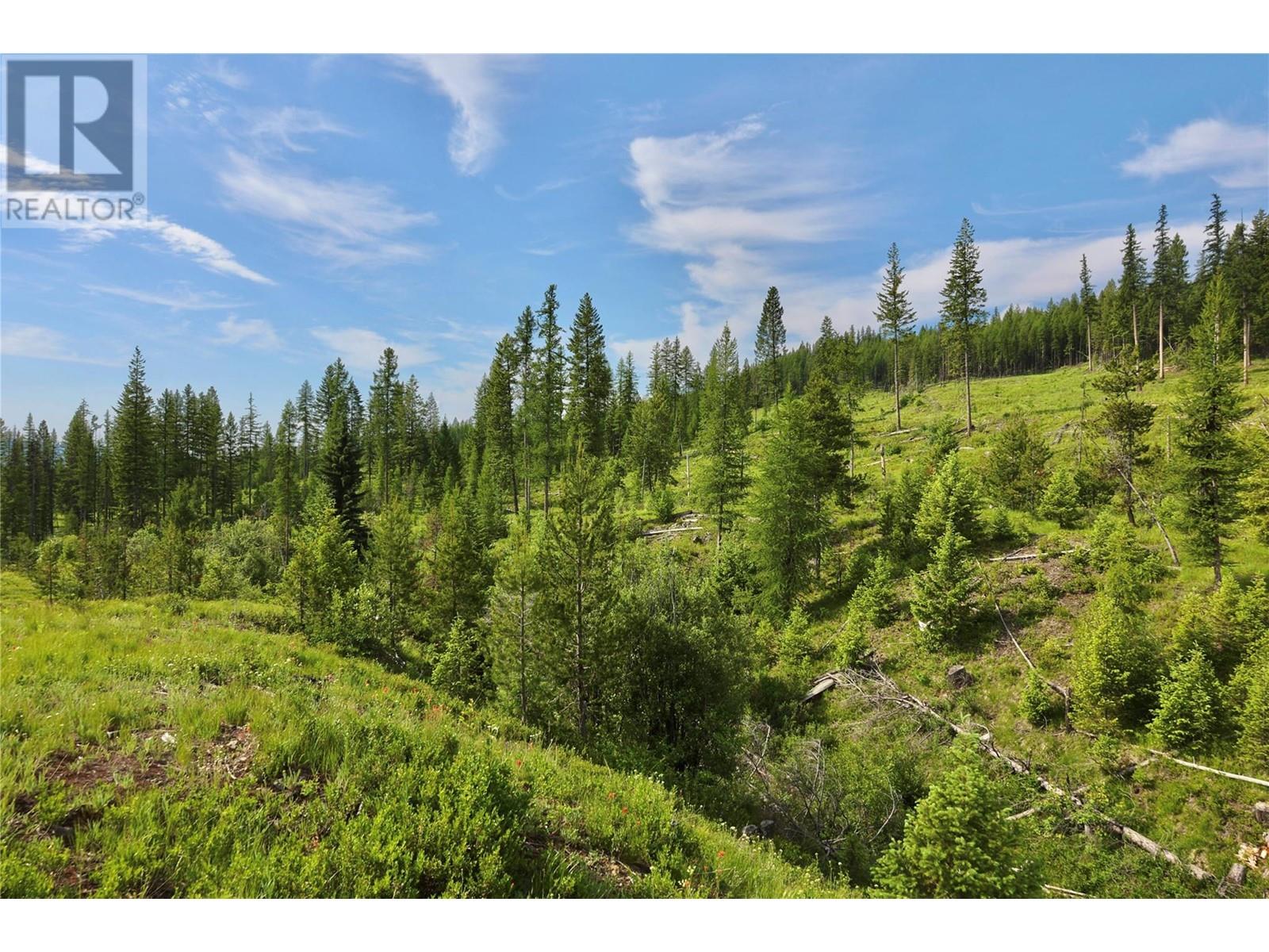 2375 BELCHROME FSR Road, bridesville, British Columbia