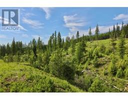 2375 BELCHROME FSR Road, bridesville, British Columbia