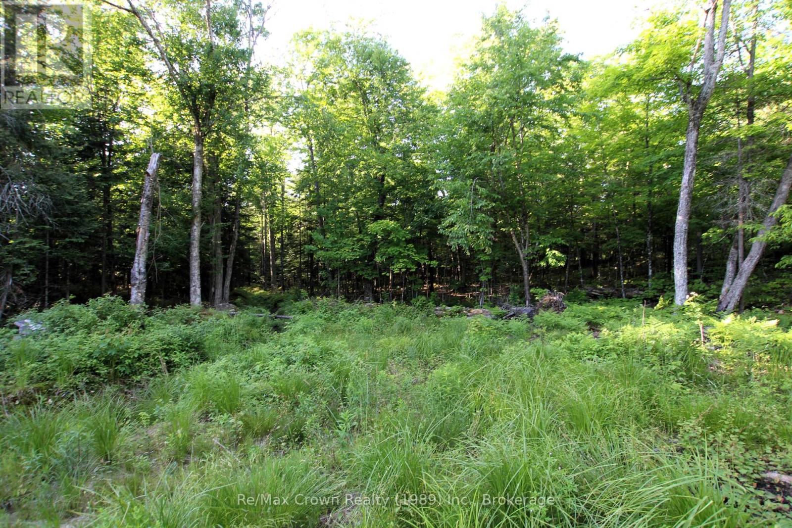 453 Pilgers Road, Nipissing, Ontario  P0H 1J0 - Photo 8 - X11920088