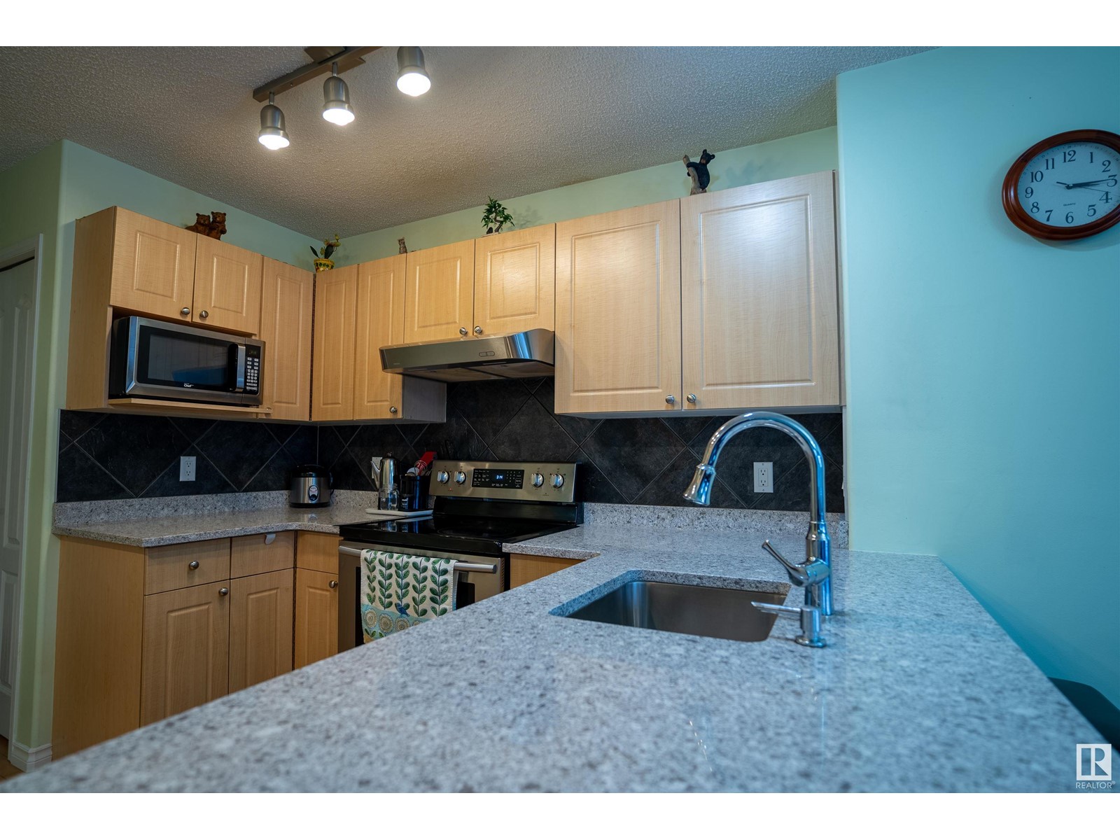 405 85 St Sw, Edmonton, Alberta  T6X 1H7 - Photo 14 - E4417784