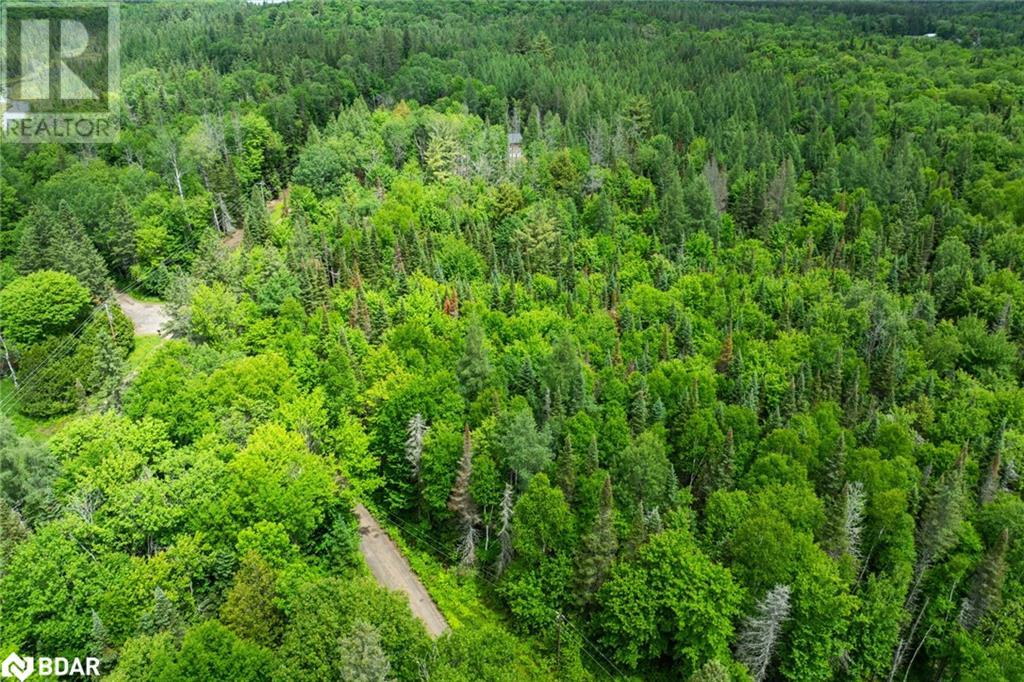 2661 Highway 518 E, Kearney, Ontario  P0A 1M0 - Photo 3 - 40689985
