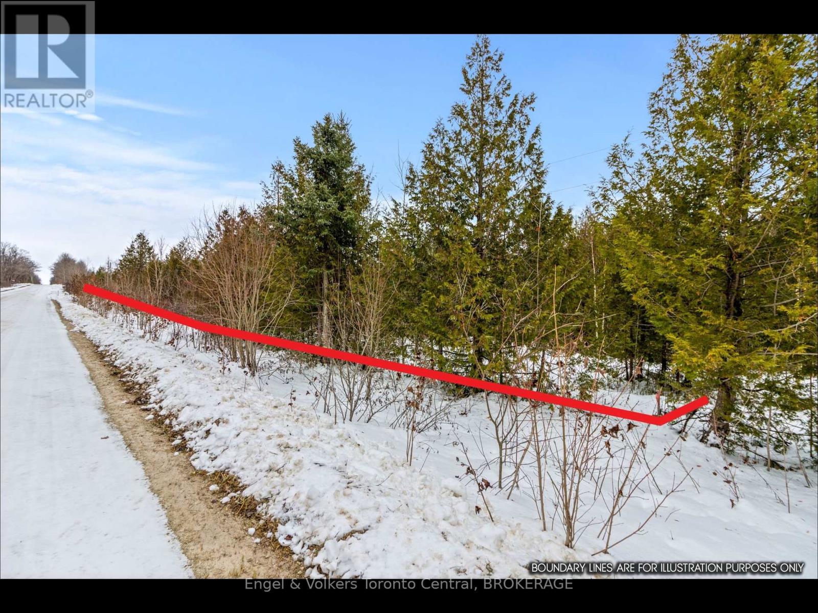 429570 8th B Concession Road, Grey Highlands, Ontario  N0C 1M0 - Photo 10 - X11891186