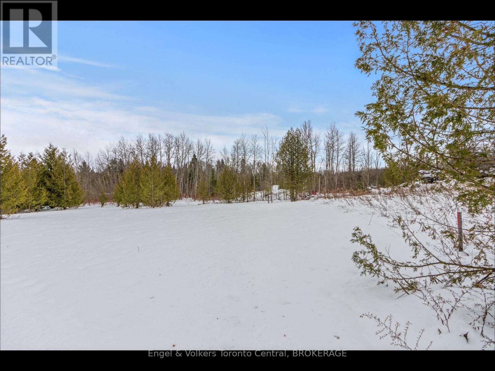 429570 8th B Concession Road, Grey Highlands, Ontario  N0C 1M0 - Photo 6 - X11891186