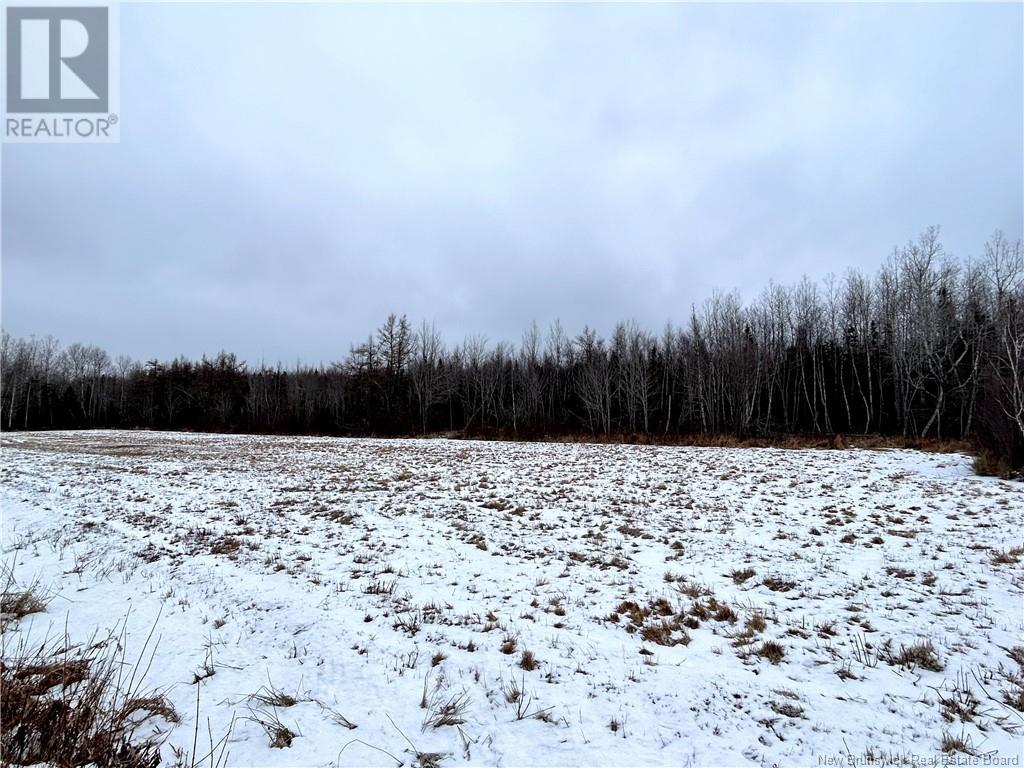 75 Acres Weldfield-Collette Road, Napan, New Brunswick  E1N 5H4 - Photo 4 - NB111131