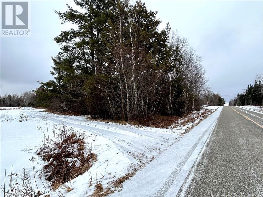 75 Acres Weldfield-Collette Road, Napan, New Brunswick  E1N 5H4 - Photo 2 - NB111131