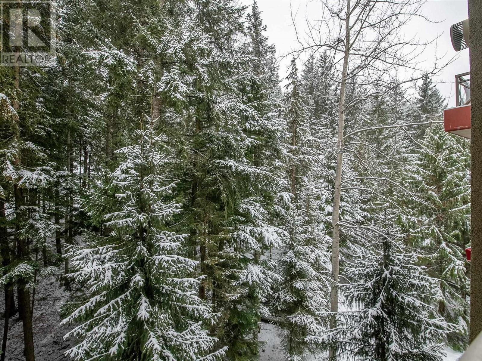 769 4090 Whistler Way, Whistler, British Columbia  V8E 1J3 - Photo 14 - R2955351