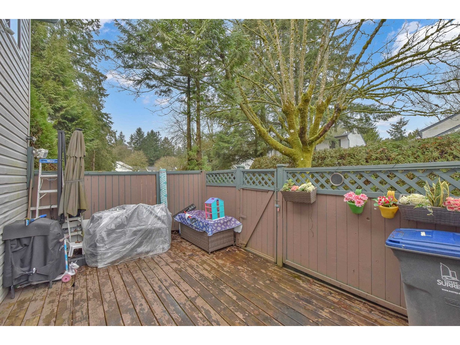 129 13710 67 Avenue, Surrey, British Columbia  V3W 6X6 - Photo 25 - R2954798