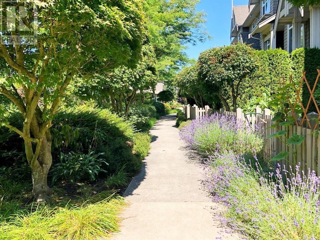 Listing Picture 12 of 30 : 32 9800 ODLIN ROAD, Richmond / 烈治文 - 魯藝地產 Yvonne Lu Group - MLS Medallion Club Member