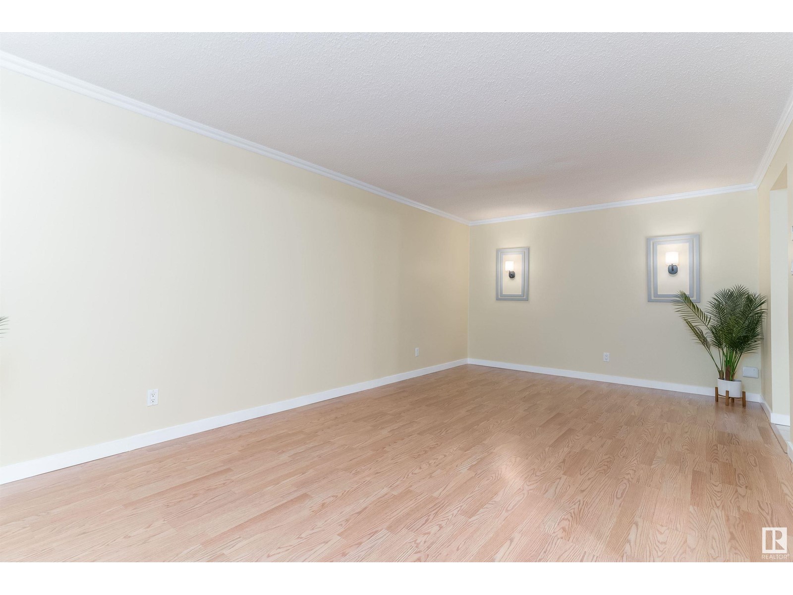 Property at #102 9925 83 AV NW image 4