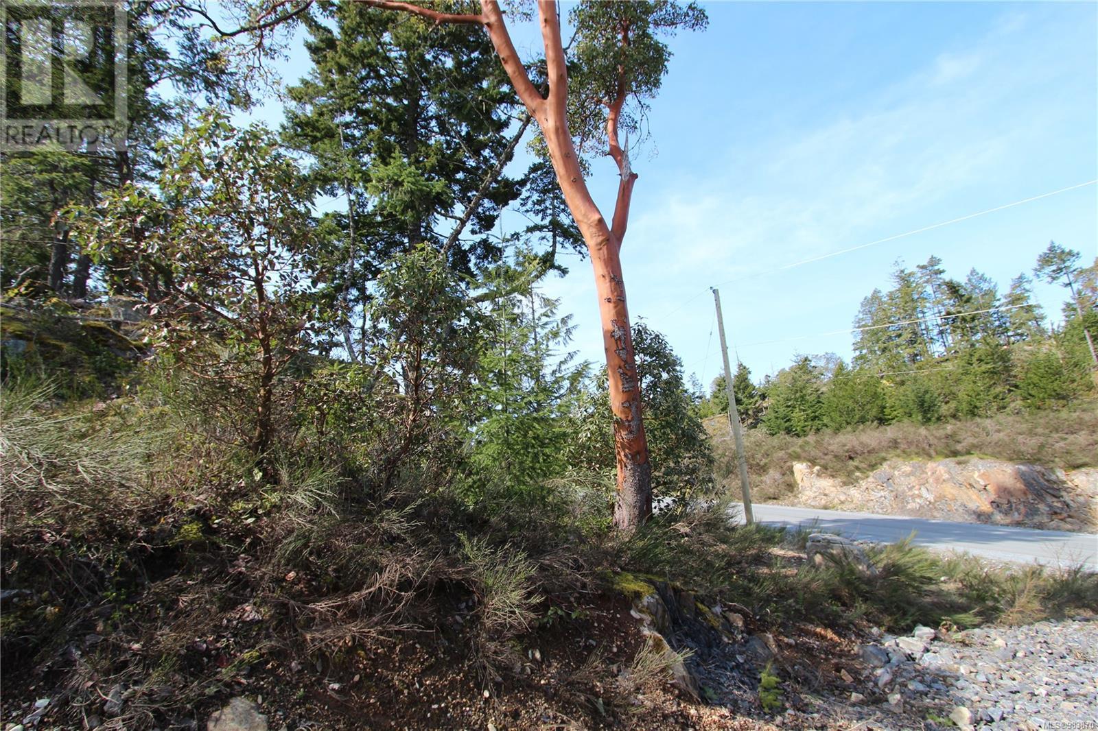 Lot 32 Goldstream Heights Dr, Shawnigan Lake, British Columbia  V0R 2W3 - Photo 53 - 983870