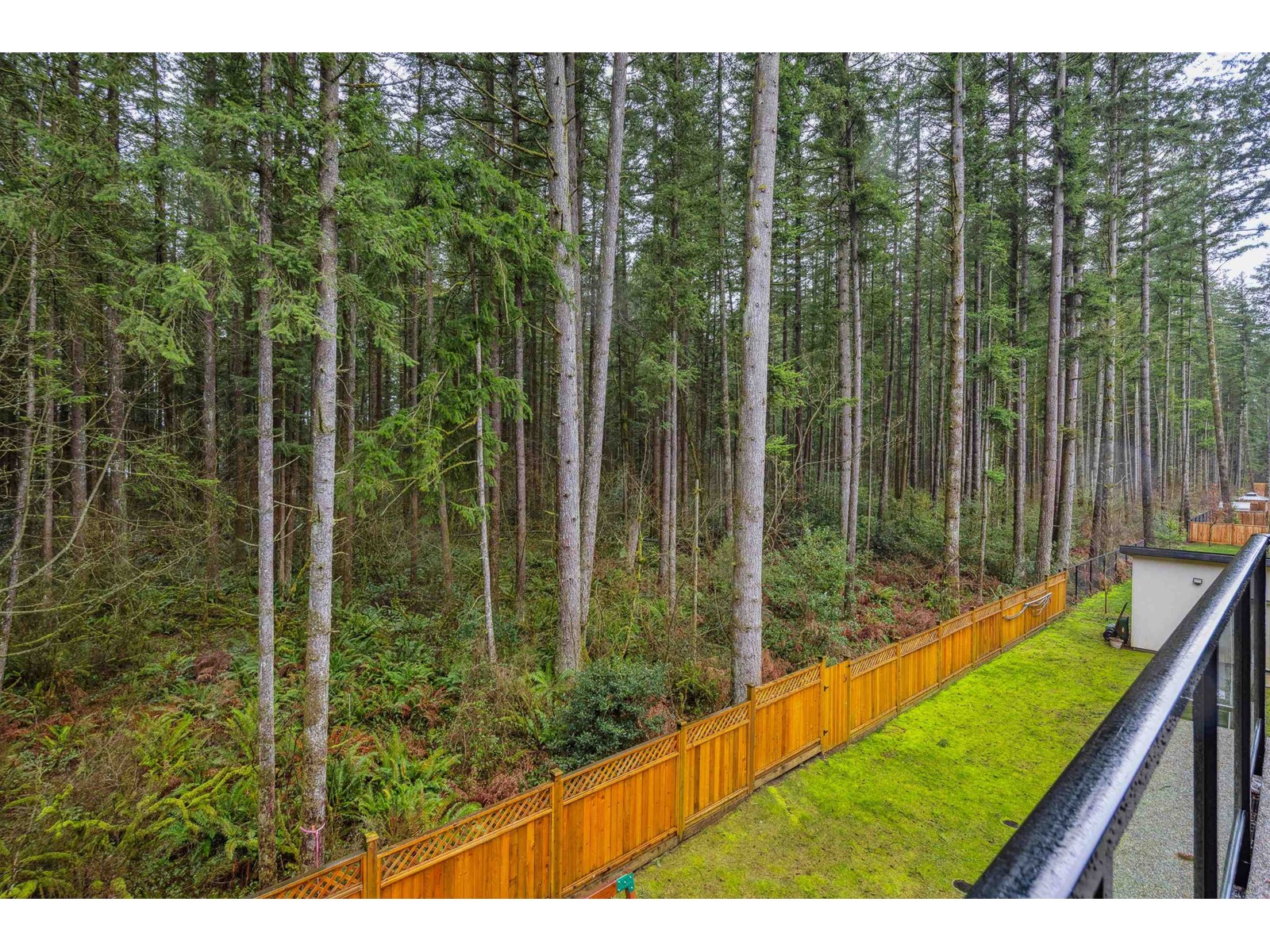 19720 31a Avenue, Langley, British Columbia  V2Z 0B2 - Photo 38 - R2953663