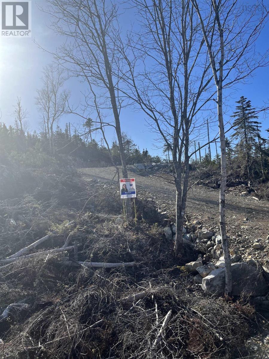 Lot C-5 West Jeddore Road, West Jeddore, Nova Scotia  B0J 2L0 - Photo 6 - 202500796