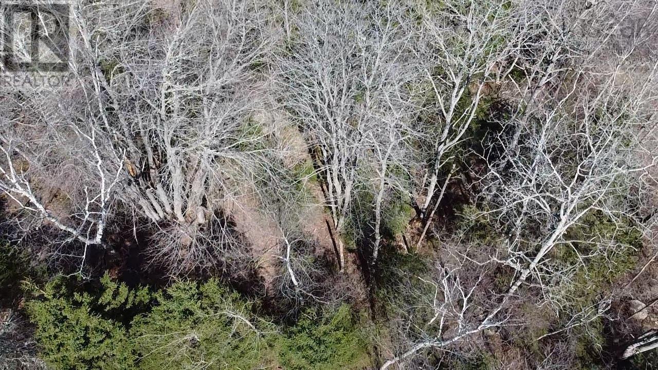 Lot 26 Cedar Street, Chester, Nova Scotia  B0J 1J0 - Photo 10 - 202500795