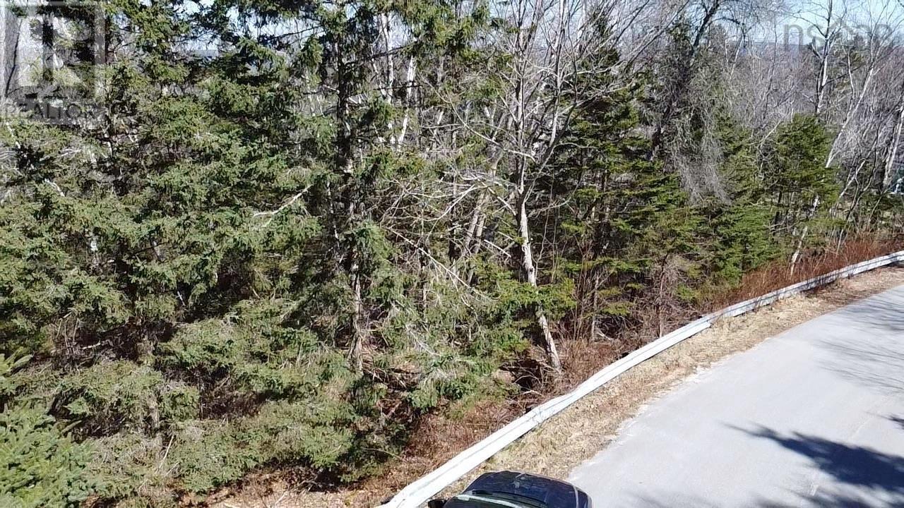 Lot 26 Cedar Street, Chester, Nova Scotia  B0J 1J0 - Photo 9 - 202500795
