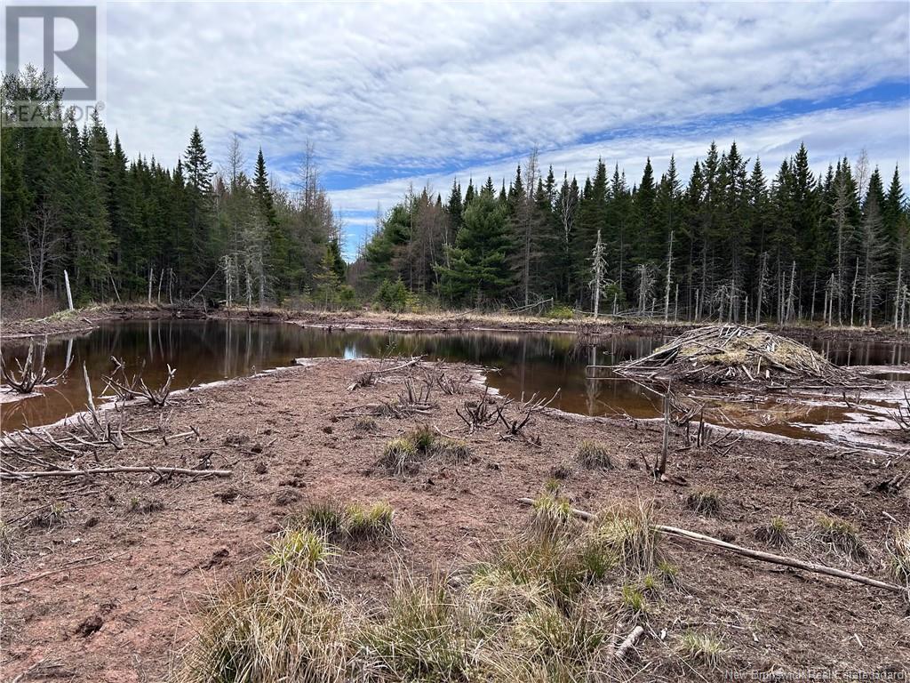 Coy Road, Ripples, New Brunswick  E4B 1T2 - Photo 1 - NB111218