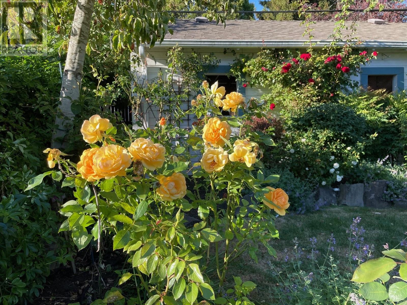 Listing Picture 34 of 36 : 3869 W 38TH AVENUE, Vancouver / 溫哥華 - 魯藝地產 Yvonne Lu Group - MLS Medallion Club Member