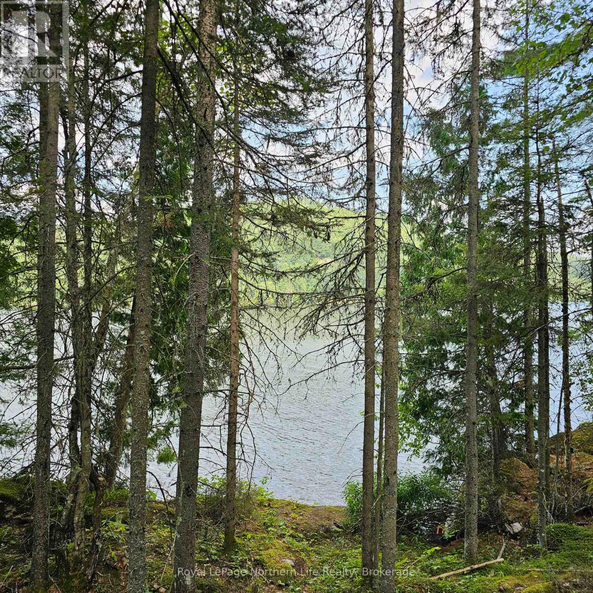 1255 Snake Creek Road, Mattawan, Ontario  P0H 1V0 - Photo 19 - X10708078