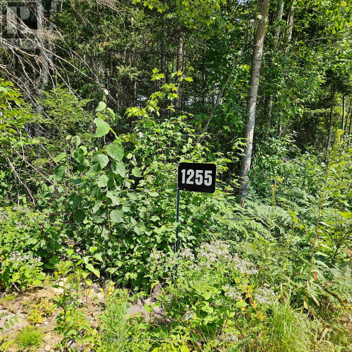 1255 Snake Creek Road, Mattawan, Ontario  P0H 1V0 - Photo 27 - X10708078