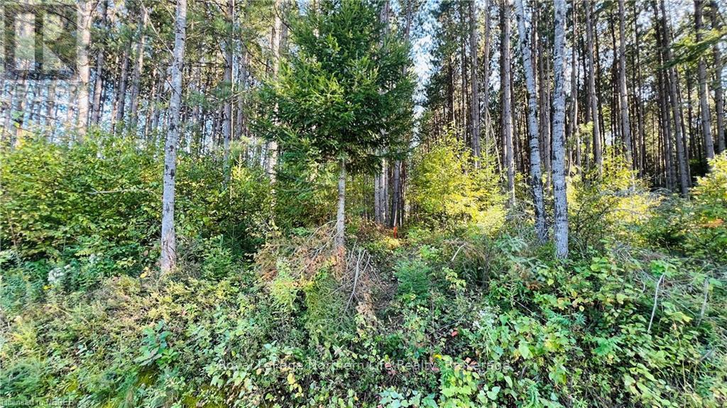 Lot 28 Part 1 Chiswick Line, Chisholm, Ontario  P0H 1Z0 - Photo 5 - X10708751