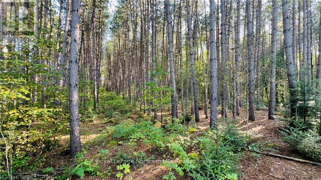 Lot 28 Part 1 Chiswick Line, Chisholm, Ontario  P0H 1Z0 - Photo 6 - X10708751