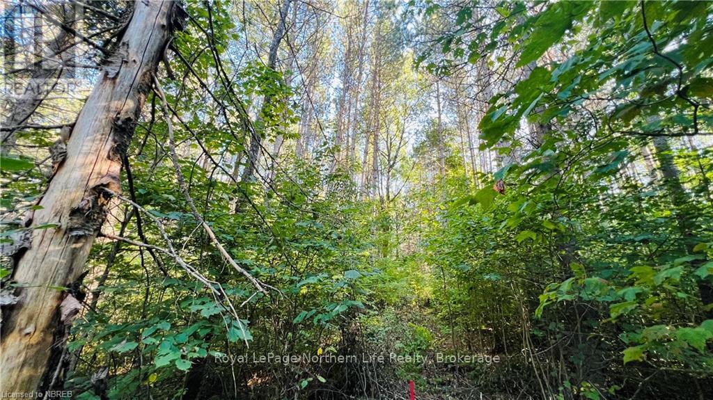 Lot 28 Part 1 Chiswick Line, Chisholm, Ontario  P0H 1Z0 - Photo 7 - X10708751