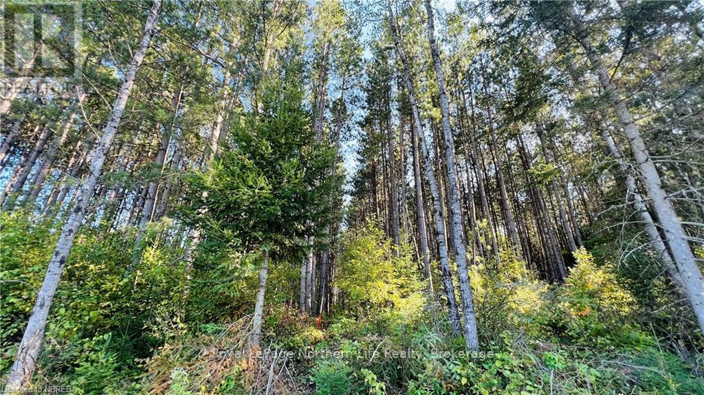 Lot 28 Part 1 Chiswick Line, Chisholm, Ontario  P0H 1Z0 - Photo 8 - X10708751