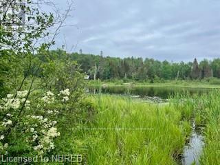 Lot 5 Georges Road, Bonfield, Ontario  P0H 1E0 - Photo 3 - X10709543