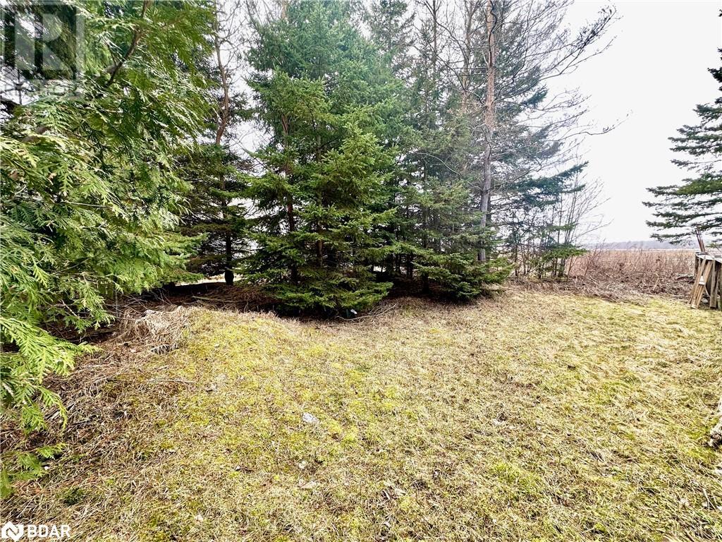 18 Brentwood Road, Essa, Ontario  L0M 1B0 - Photo 13 - 40688606