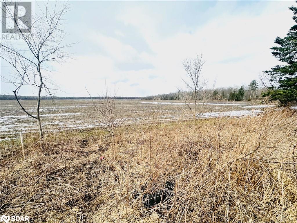 18 Brentwood Road, Essa, Ontario  L0M 1B0 - Photo 14 - 40688606
