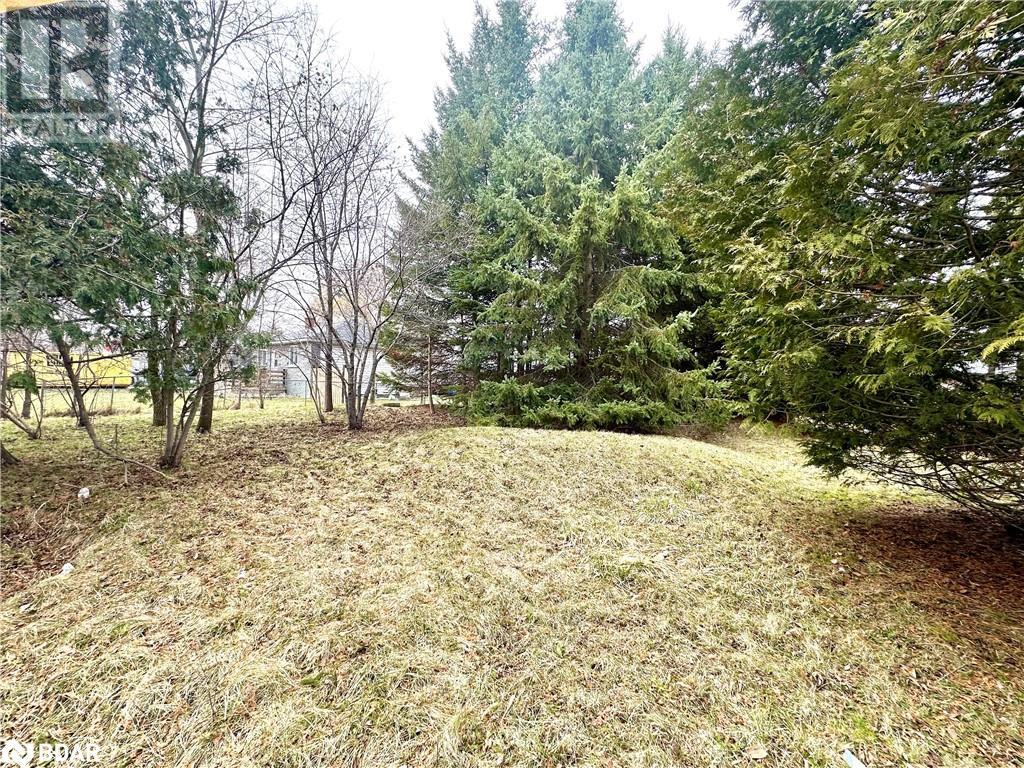 18 Brentwood Road, Essa, Ontario  L0M 1B0 - Photo 9 - 40688606