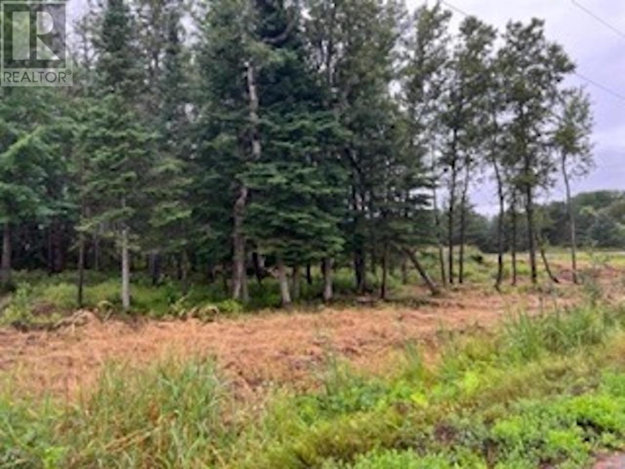 Property at 9 Station RD image 4