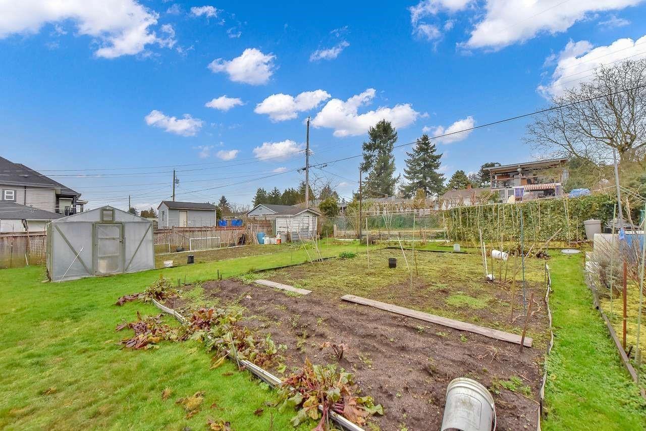 11102 135a Street, Surrey, British Columbia  V3R 3A4 - Photo 26 - R2955492