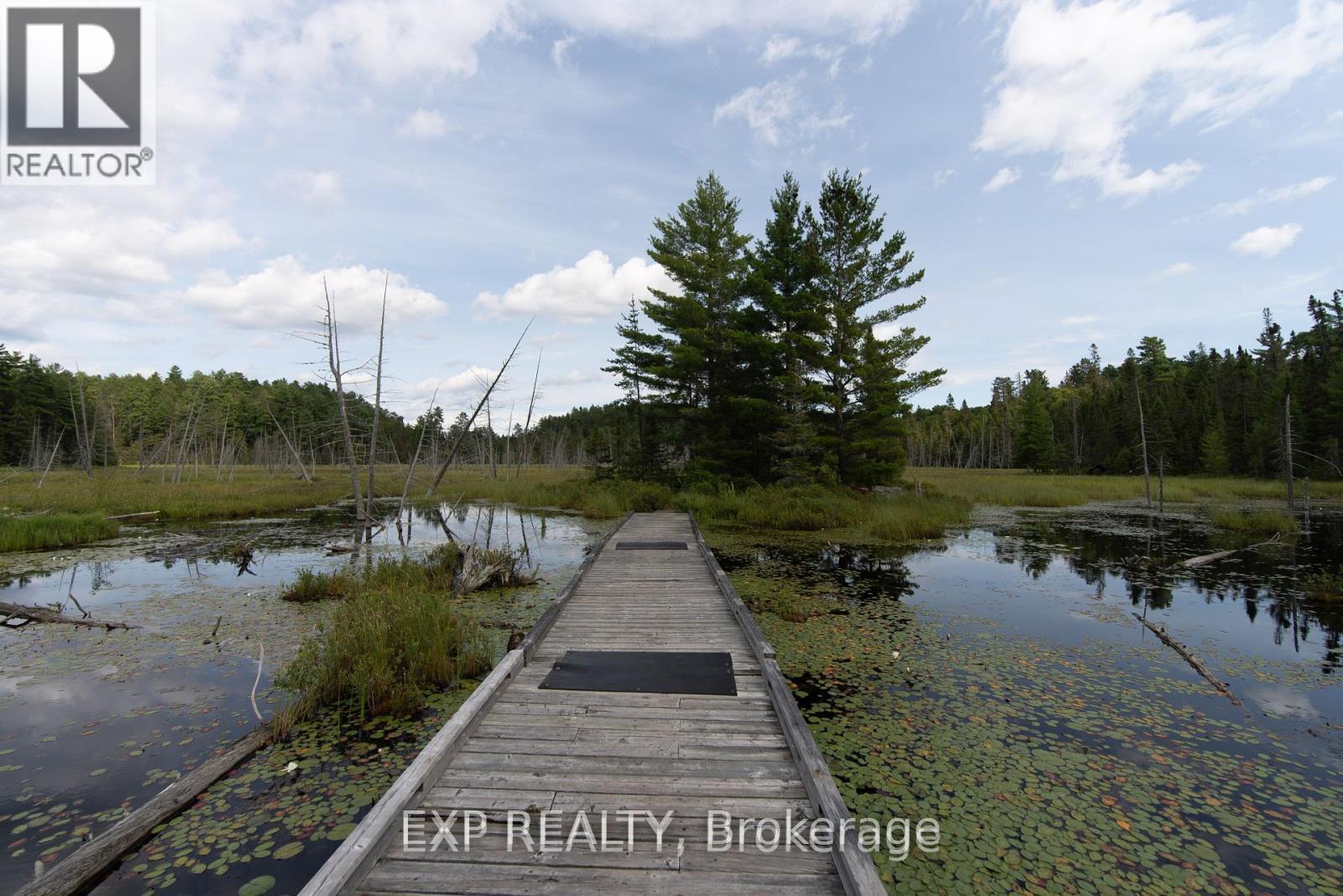 31 Spruce Drive, Temagami, Ontario  P0H 2H0 - Photo 24 - X11922725