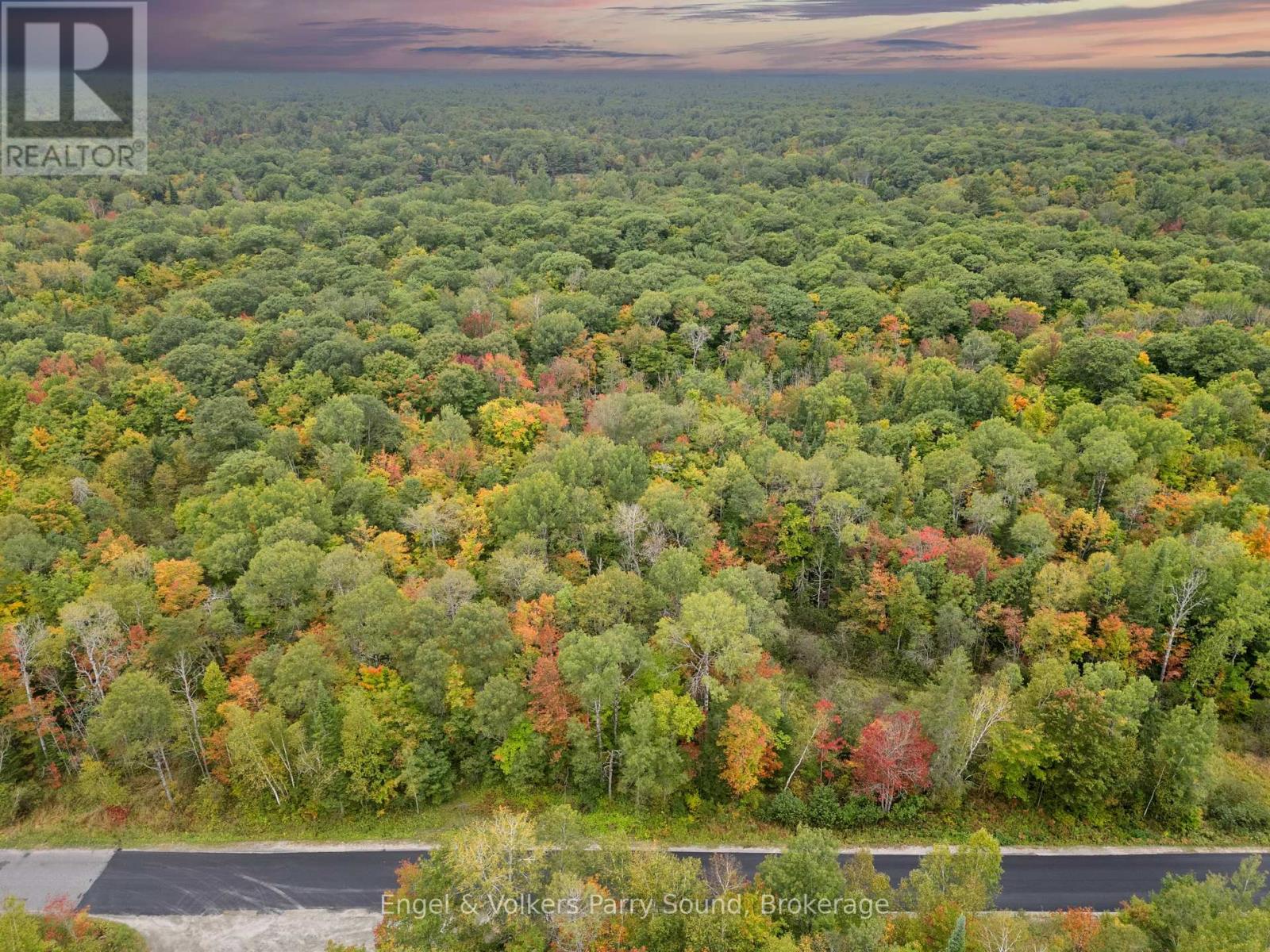 700 Bunny Trail, Whitestone, Ontario  P0A 1G0 - Photo 10 - X11923001