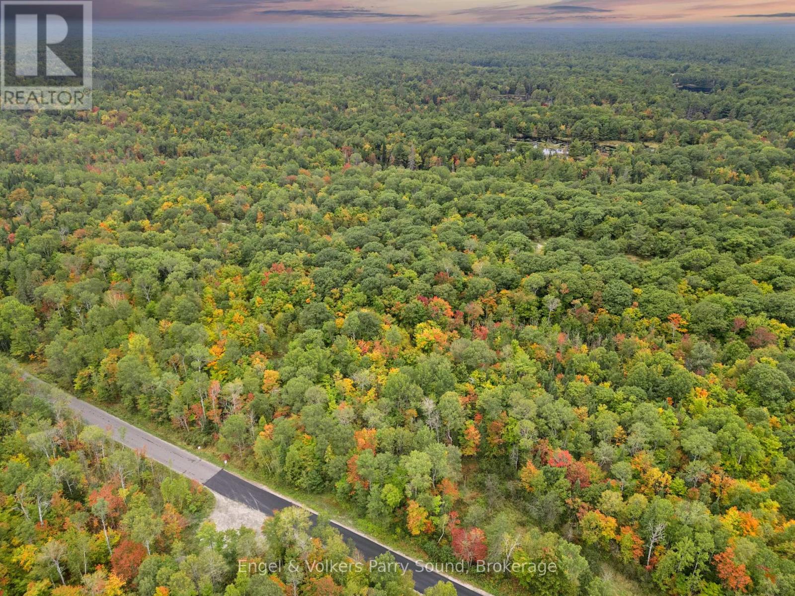700 Bunny Trail, Whitestone, Ontario  P0A 1G0 - Photo 4 - X11923001