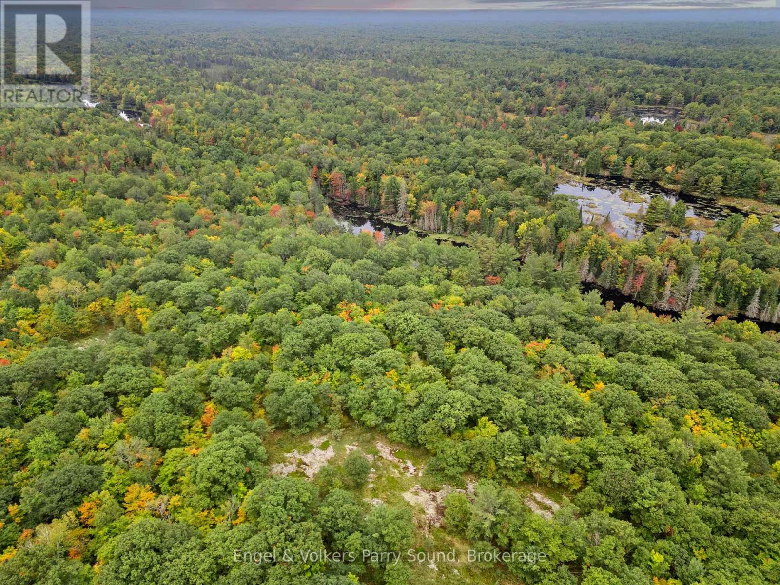 700 Bunny Trail, Whitestone, Ontario  P0A 1G0 - Photo 7 - X11923001