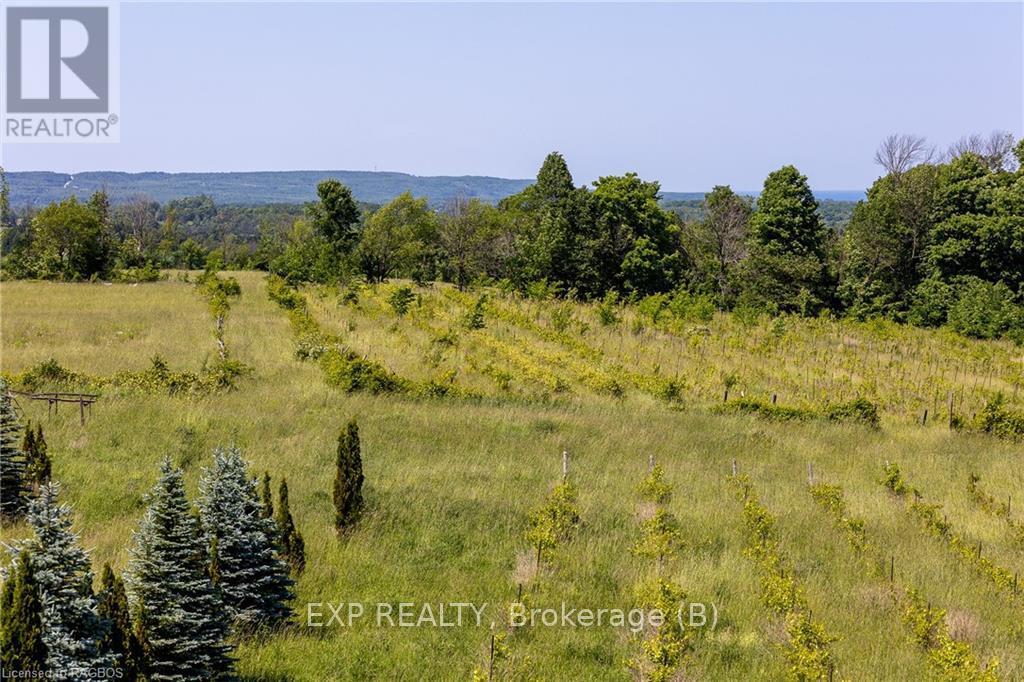 85621 Sideroad 7, Meaford, Ontario  N4L 1W6 - Photo 34 - X11879930